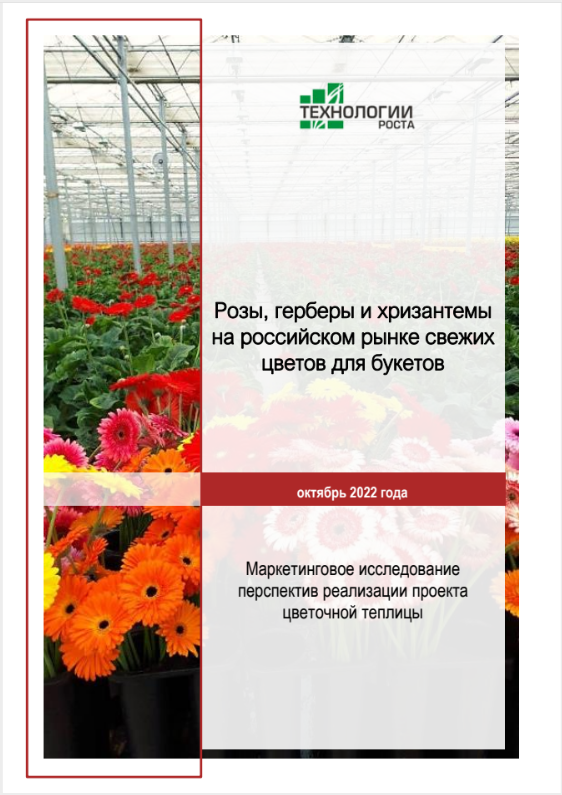 Розы, герберы и хризантемы на российском рынке свежих цветов для букетов