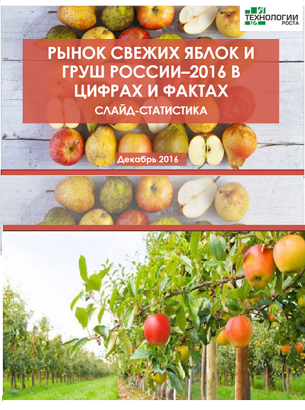 Рынок свежих яблок и груш в России - 2016 в цифрах и фактах