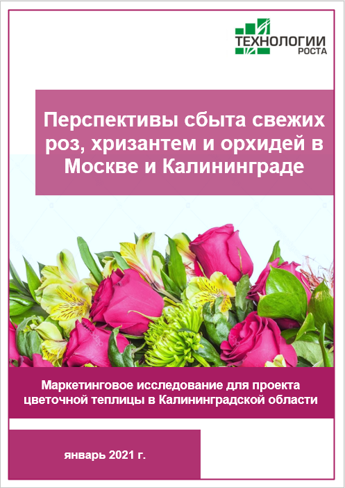 Перспективы сбыта свежих роз, хризантем и орхидей в Москве и Калининграде