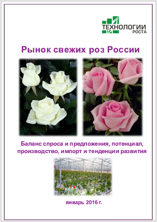Рынок свежих роз России - 2016